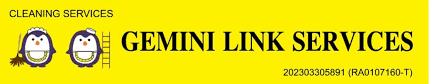 Gemini panel partner